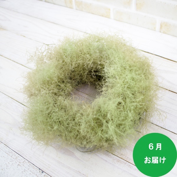 自宅で空いた時間に気軽にスタート 1本から始まる 花と緑とわたしの暮らし 阪神百貨店の定期便