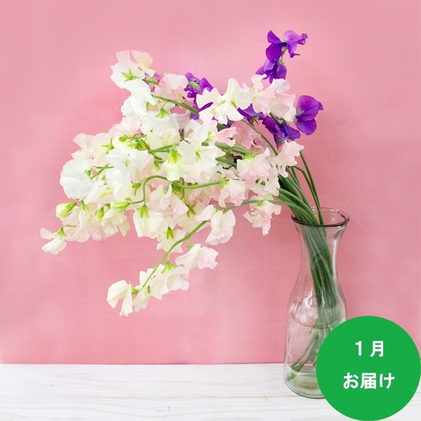 自宅で空いた時間に気軽にスタート 1本から始まる 花と緑とわたしの暮らし 阪神百貨店の定期便